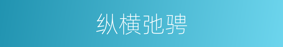 纵横弛骋的意思