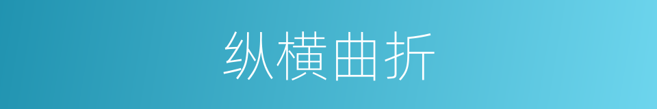 纵横曲折的同义词