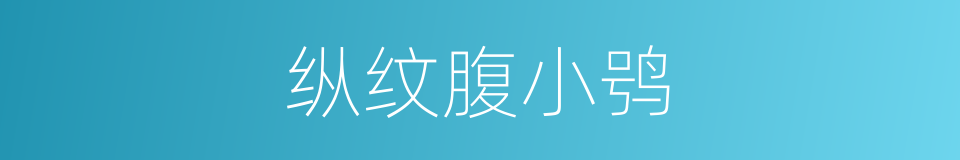 纵纹腹小鸮的同义词