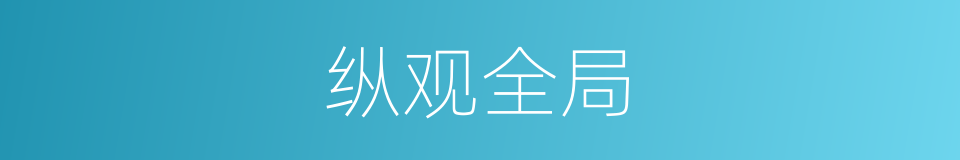 纵观全局的意思