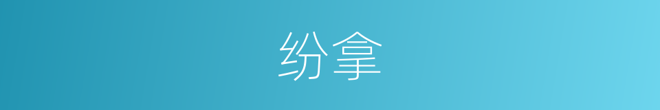 纷拿的意思