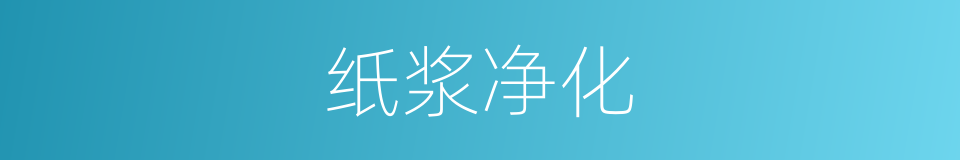 纸浆净化的同义词