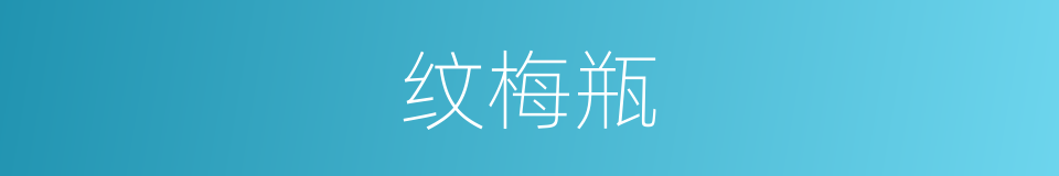 纹梅瓶的同义词