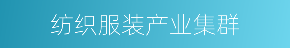 纺织服装产业集群的同义词