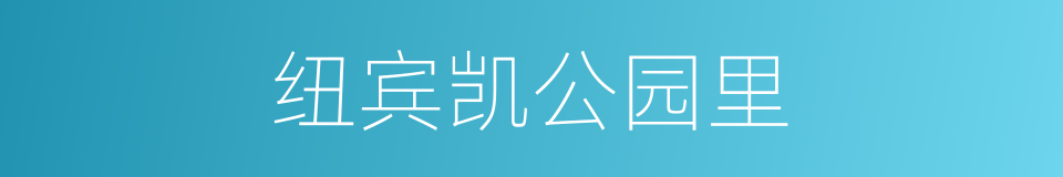 纽宾凯公园里的同义词