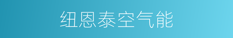 纽恩泰空气能的同义词