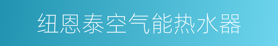 纽恩泰空气能热水器的同义词