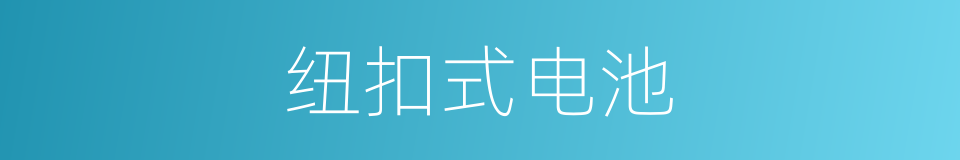 纽扣式电池的同义词