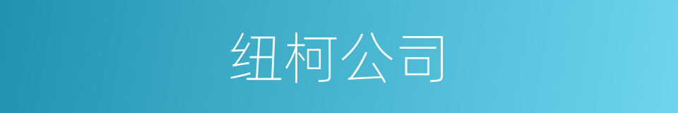 纽柯公司的同义词