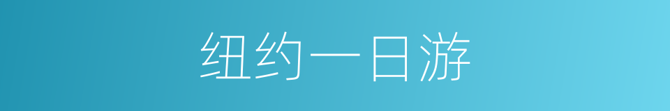 纽约一日游的同义词