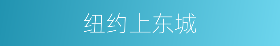 纽约上东城的同义词