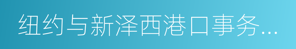 纽约与新泽西港口事务管理局的同义词