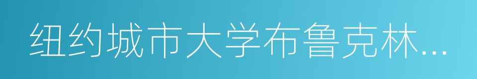 纽约城市大学布鲁克林学院的同义词