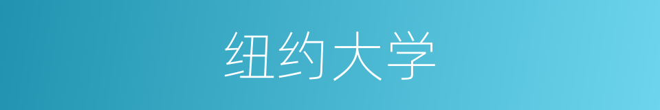 纽约大学的意思