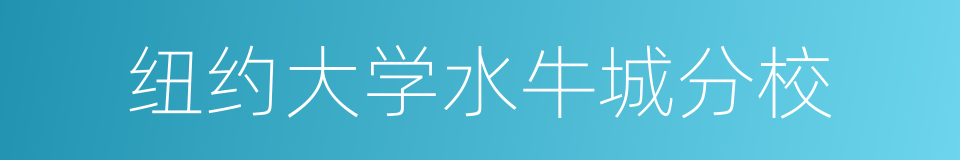 纽约大学水牛城分校的同义词