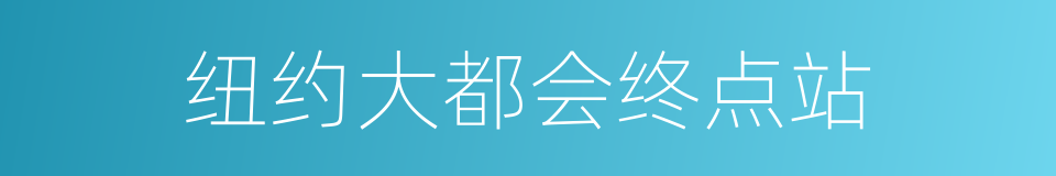 纽约大都会终点站的同义词