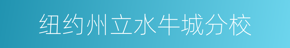 纽约州立水牛城分校的同义词