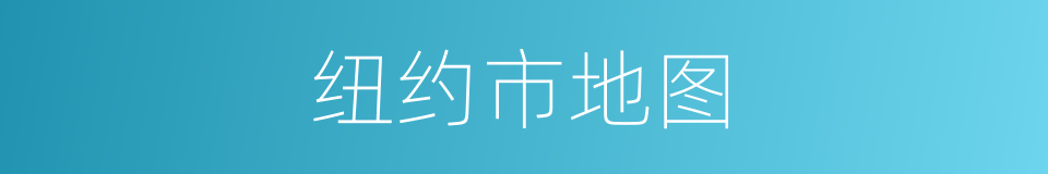 纽约市地图的同义词