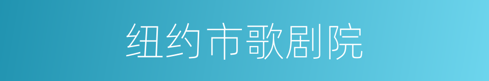 纽约市歌剧院的同义词