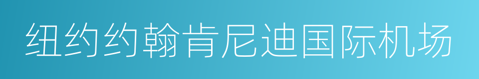 纽约约翰肯尼迪国际机场的同义词