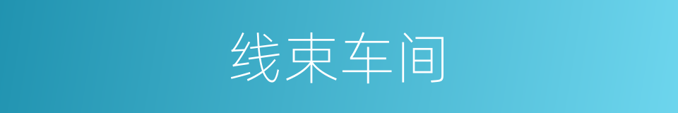 线束车间的同义词