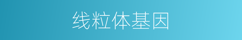 线粒体基因的同义词