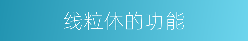 线粒体的功能的同义词