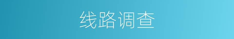 线路调查的同义词