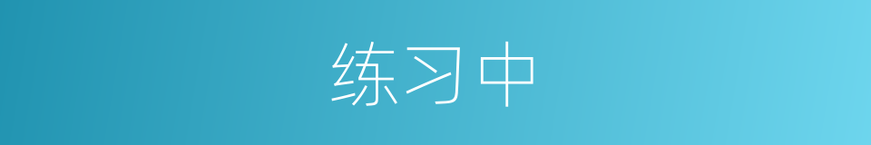 练习中的同义词