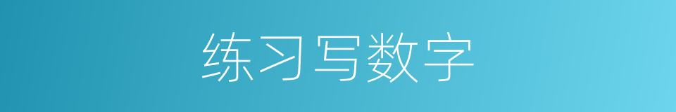 练习写数字的同义词