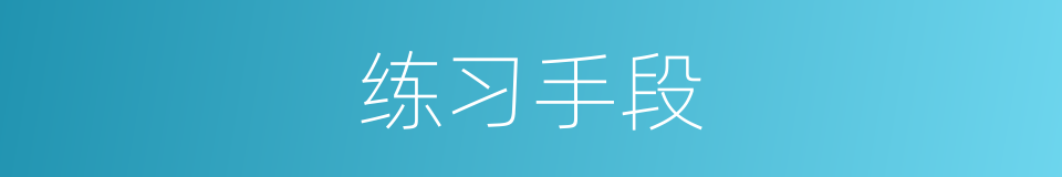 练习手段的同义词