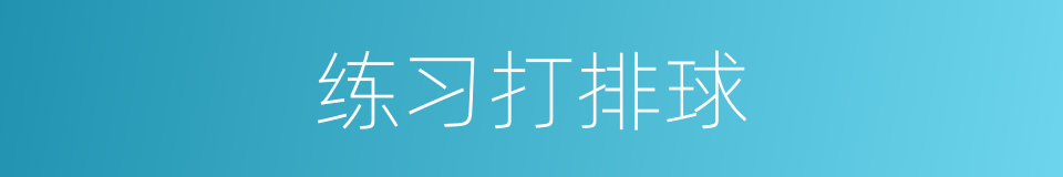 练习打排球的同义词