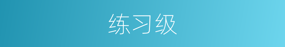 练习级的同义词