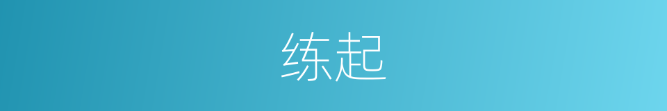 练起的同义词
