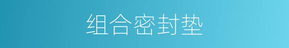 组合密封垫的同义词