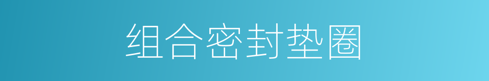 组合密封垫圈的同义词