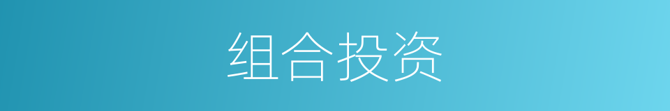 组合投资的同义词