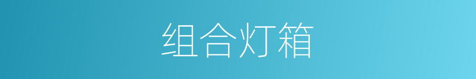 组合灯箱的同义词