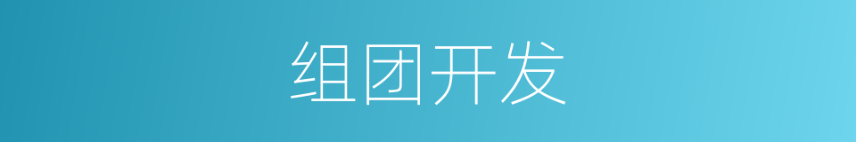 组团开发的同义词