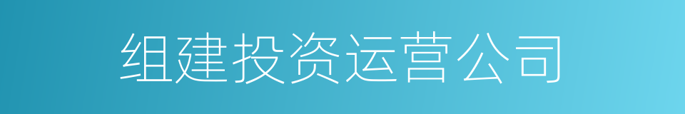 组建投资运营公司的同义词