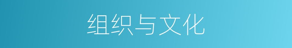 组织与文化的同义词