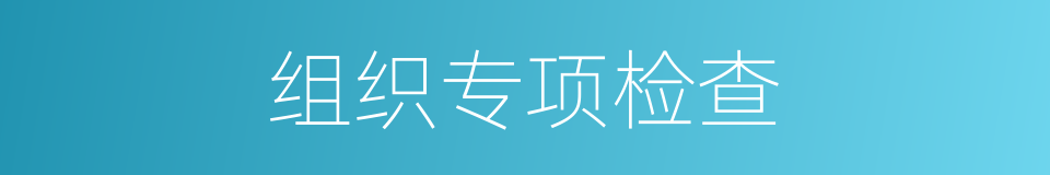 组织专项检查的同义词