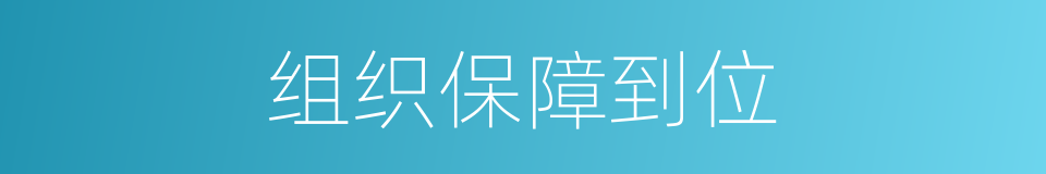组织保障到位的同义词