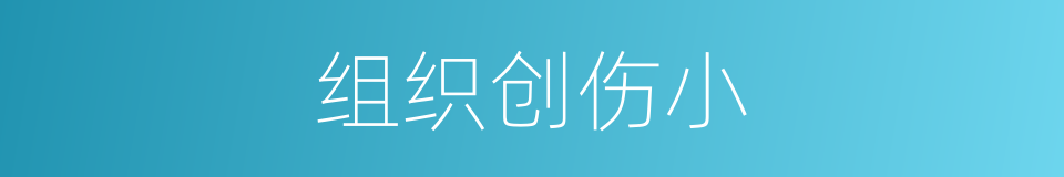 组织创伤小的同义词