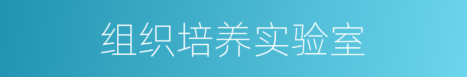 组织培养实验室的同义词