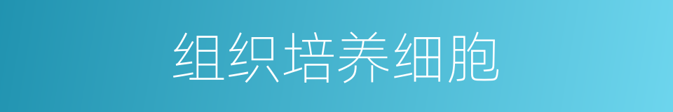 组织培养细胞的同义词