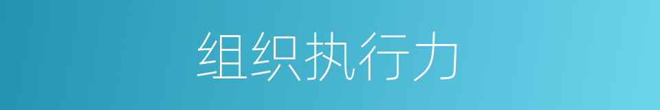 组织执行力的同义词