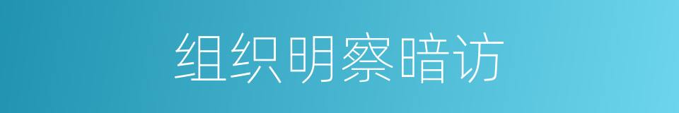 组织明察暗访的同义词