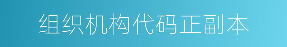 组织机构代码正副本的同义词