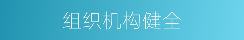 组织机构健全的同义词